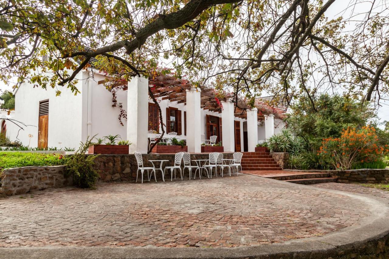 Bed and Breakfast Ayama Wine Farm - Manor House Wellington Esterno foto